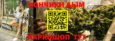 шишки Балахна