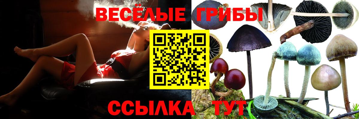 Галлюциногенные грибы мухоморы  Вход с VPN  Большой Камень 